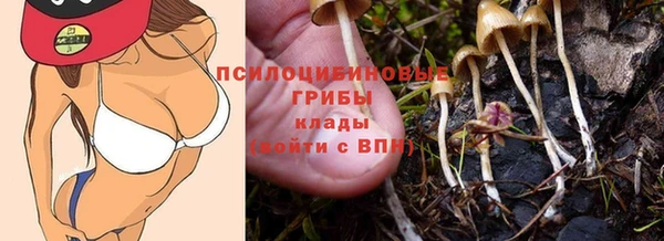 альфа пвп Баксан