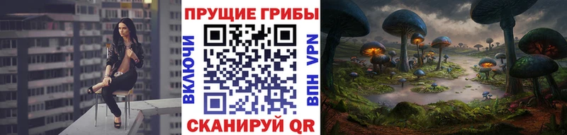 как найти закладки Нязепетровск Галлюциногенные грибы ЛСД